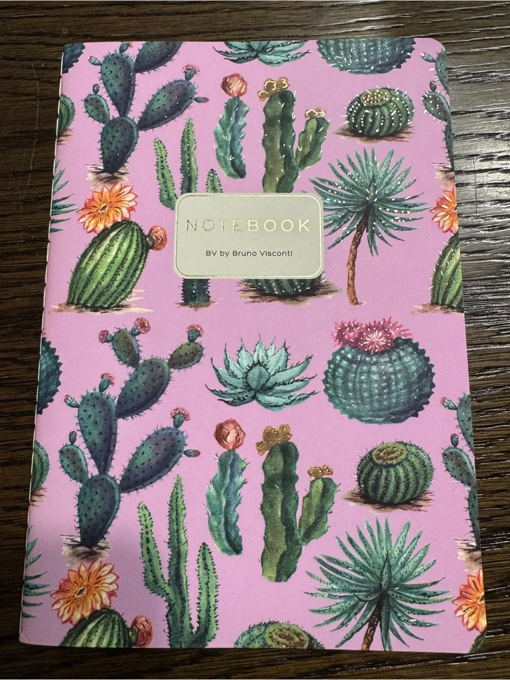 BV by Bruno Visconti A5 Journal Cactus on Rose Gold Foil NEW